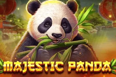 Tampilan navigasi platform untuk pengguna Indonesia